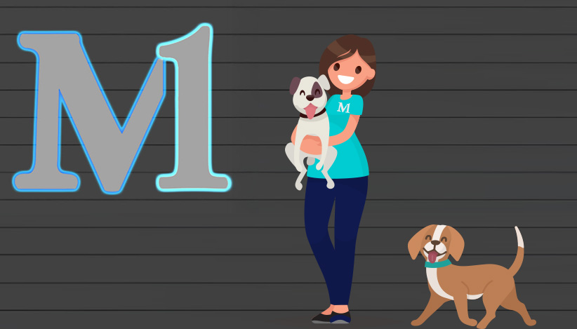 M1 Credit Union employee smiling while holding a dog, showcasing the company’s pet-friendly workplace culture and employee well-being initiatives.